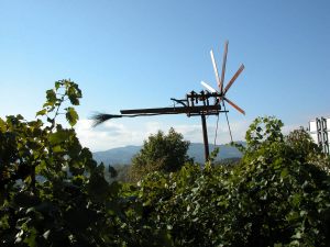 foto00007
